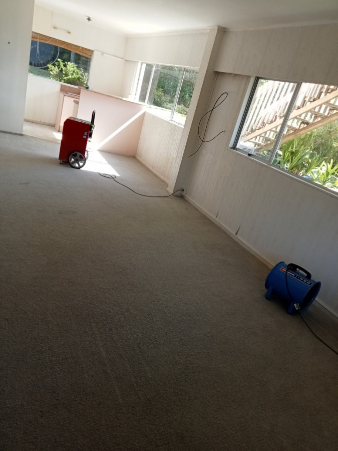 Carpet drying after flooding