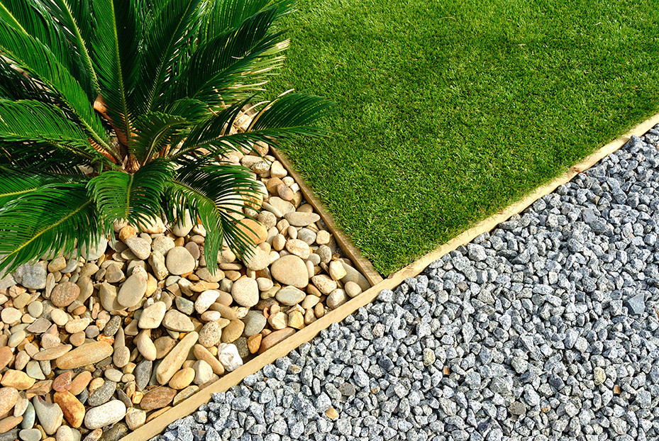 Pebbles, palm tree and turf
