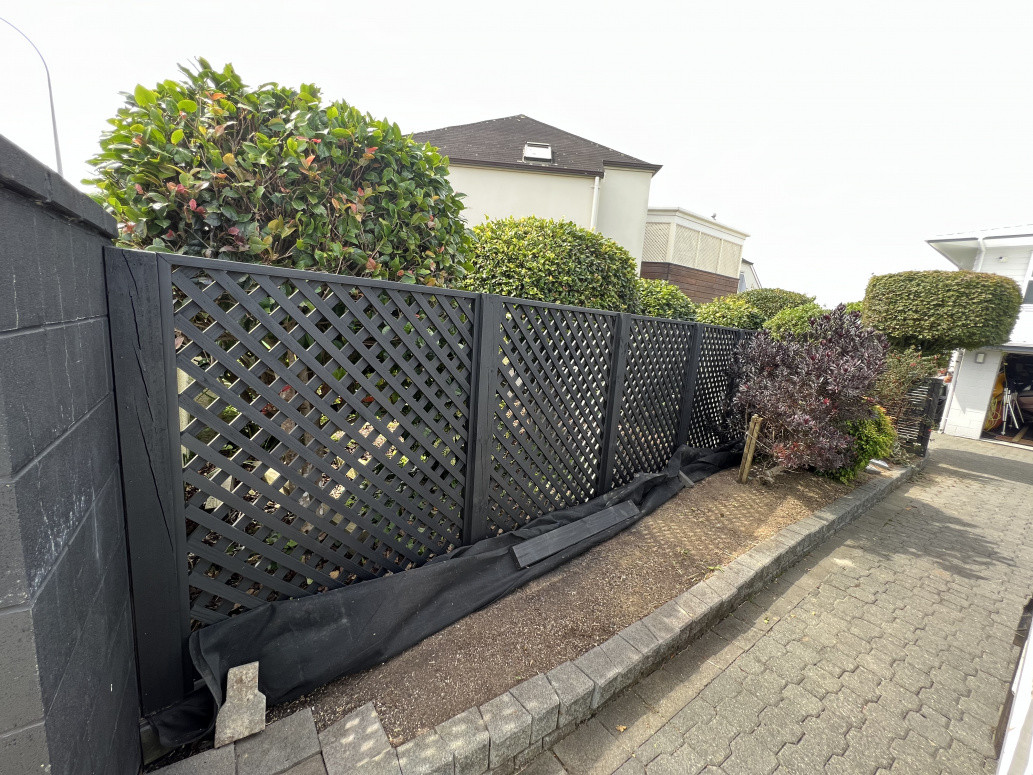 New trellis  installed and sprayed black