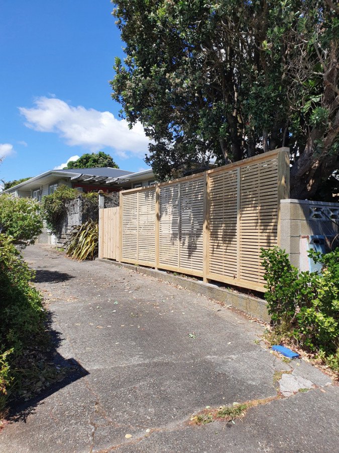 New privacy fencing + gate