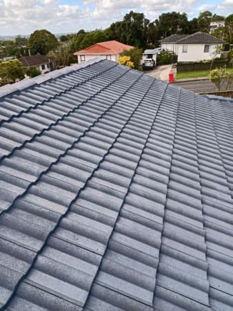 Excellent roof paint