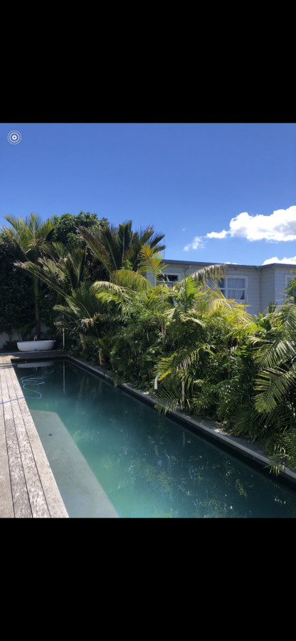 One year after planting