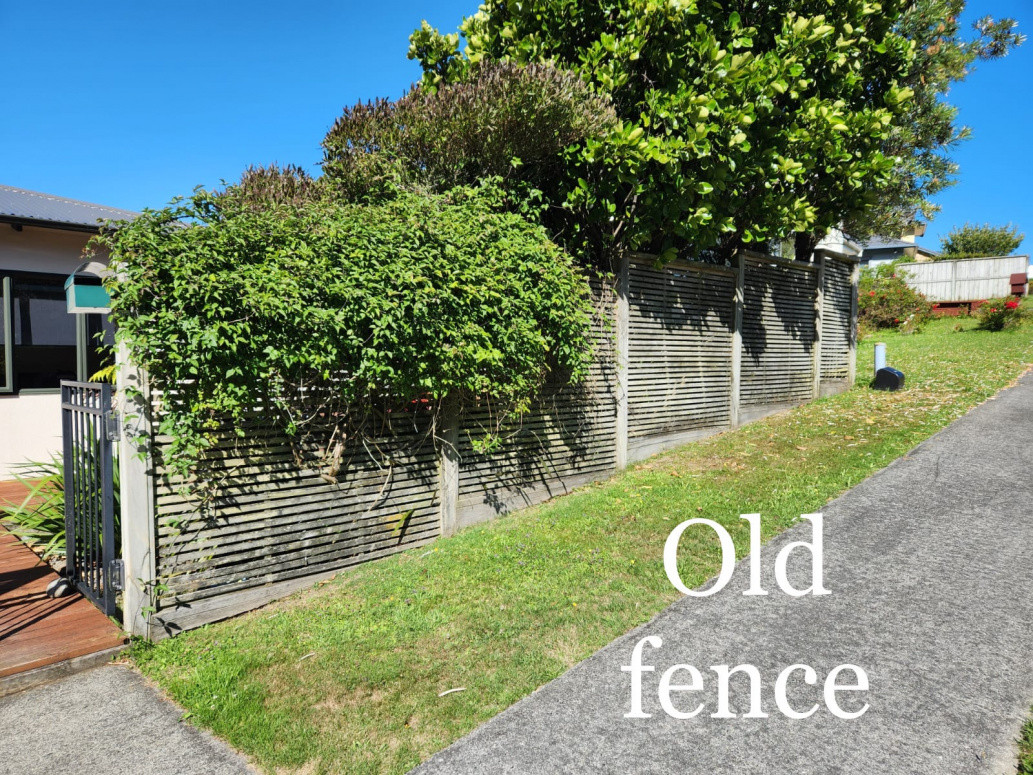 Old fence