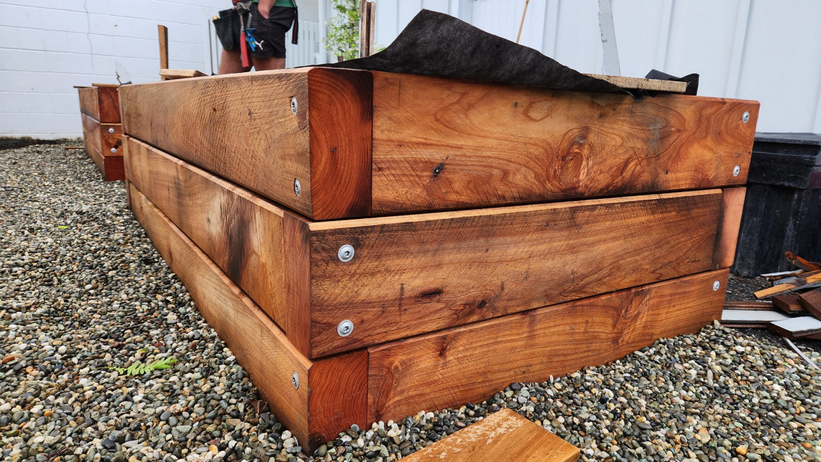 Macrocarpa Garden Box