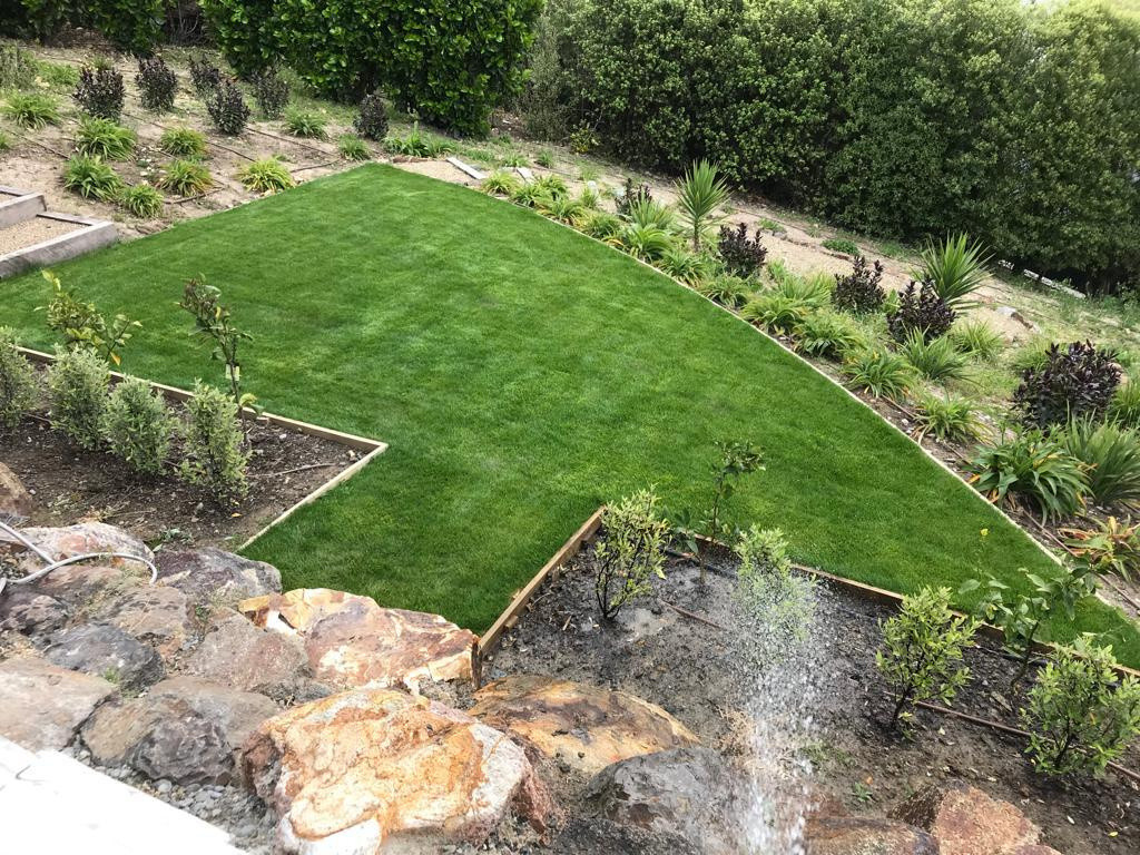 Ready lawn with pop up irrigation