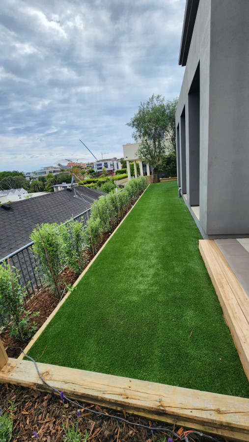 Artificial Grass