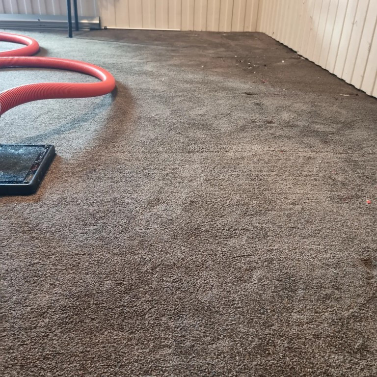 Cleaning Carpet and Drying