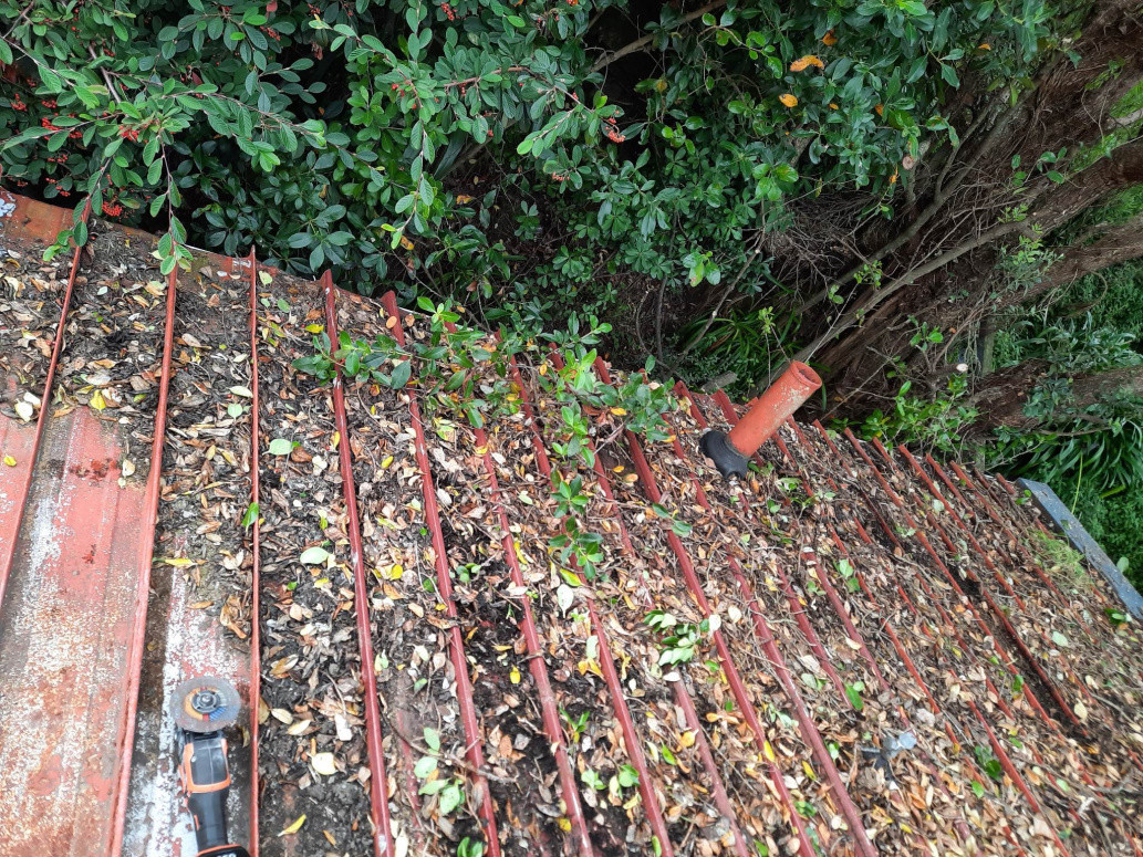 Debris On Roof Causing It To Rust