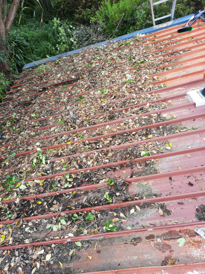 Debris On Roof Causing It To Rust