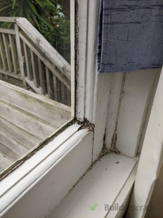 Leaking timberframed window repair ( 849985) Builderscrack