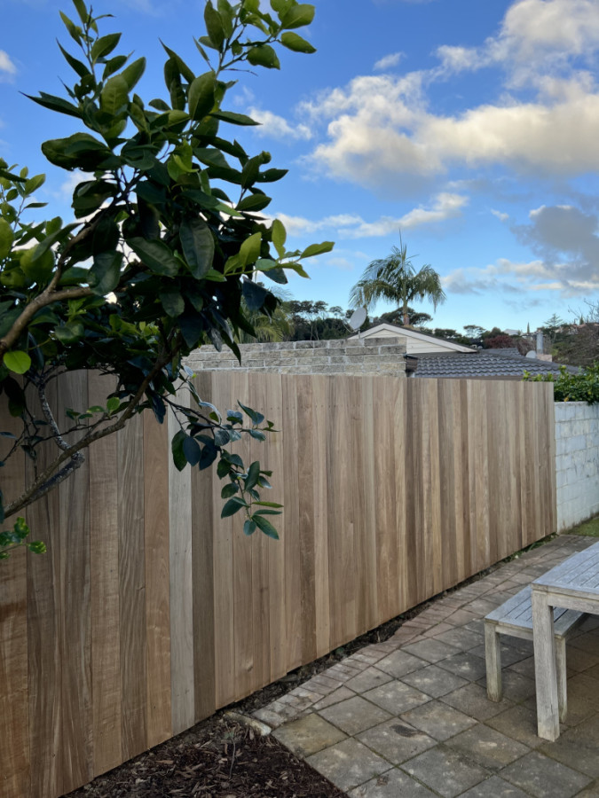 Vitex Fence - 14M