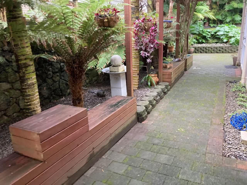 hedge trimming and cleanup