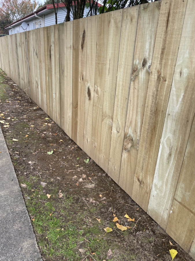 Wooden paling fence | Builderscrack