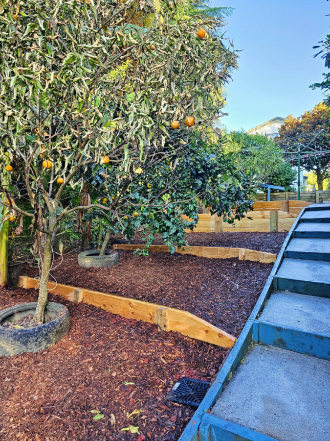 Boxed Gardens with Drainage & Landcaping