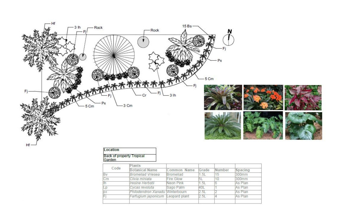 Plant Plans