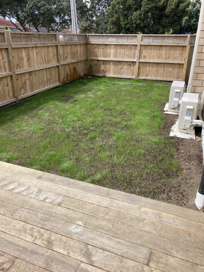 Lawn starting to grow in