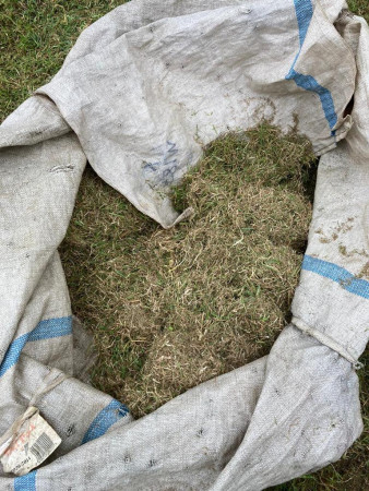 Removing the thatch