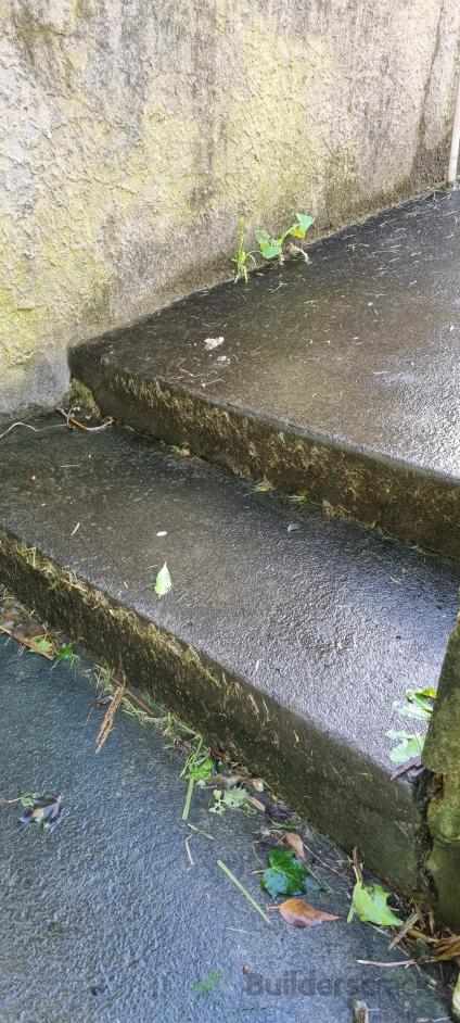 Mend concrete stairs, apply reflective nosing, install hand rail ...