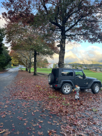Oak lift in harcourt park