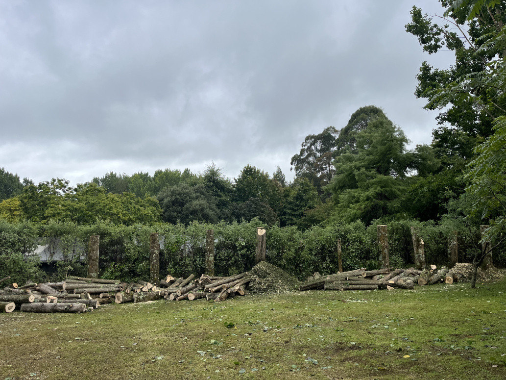Poplar dismantle manakau