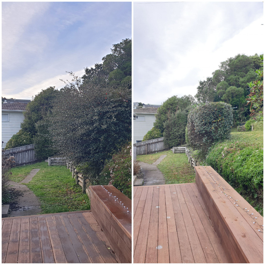 Grass cutting and hedge trimmed.