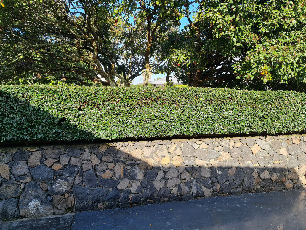 Feature hedge