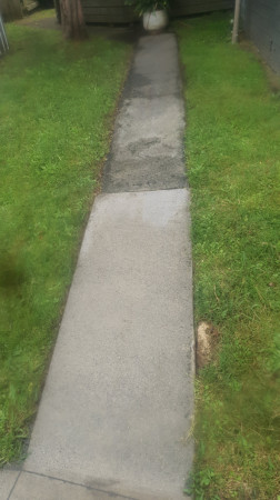 WALKWAY after cleaning