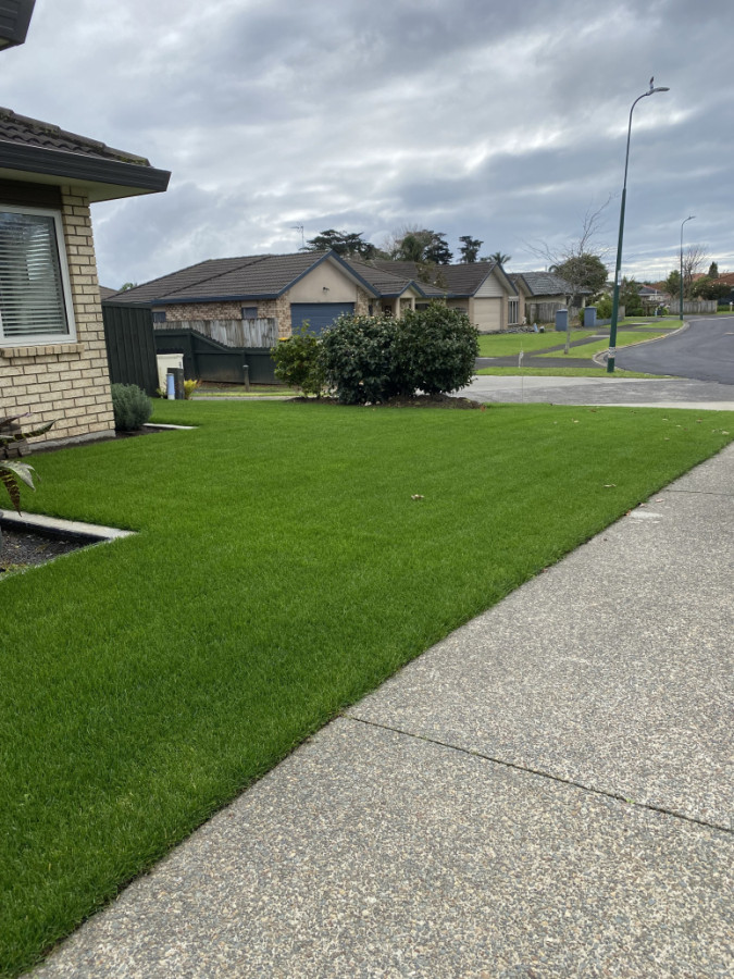 Premium Fine lawn