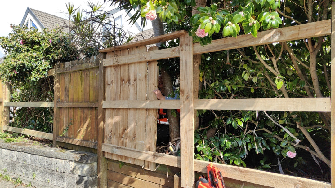 Carry on rails and fences