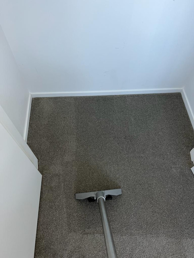 Carpet Cleaning