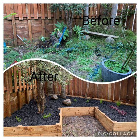Backyard Transformation