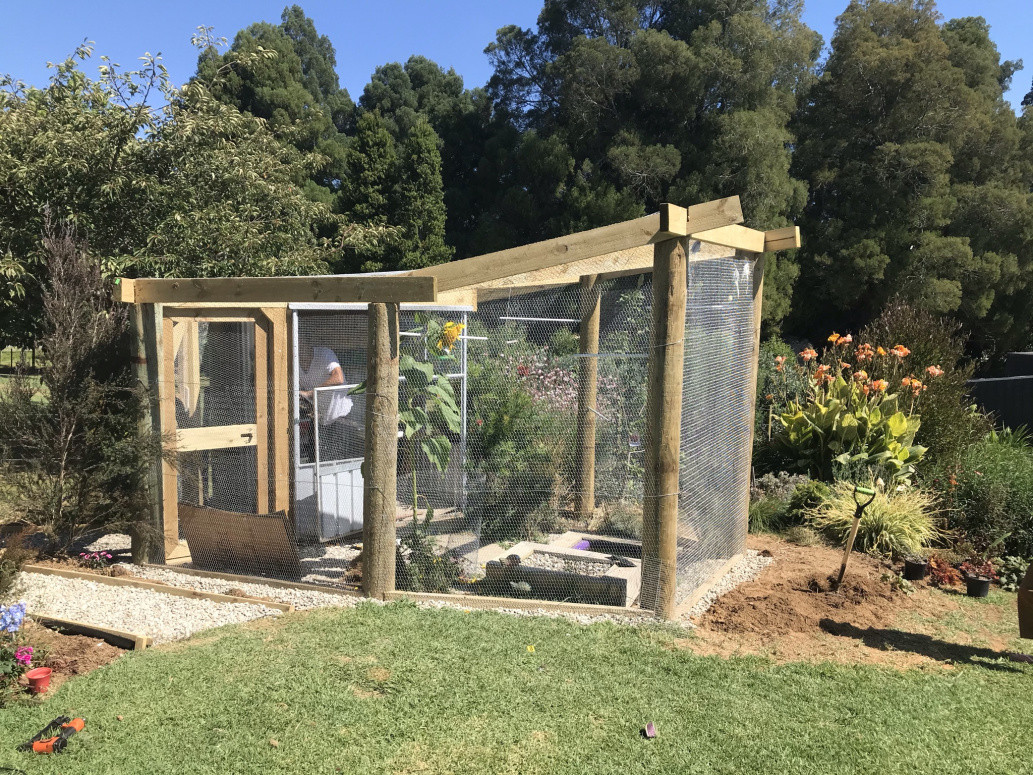 Bird Aviary 1