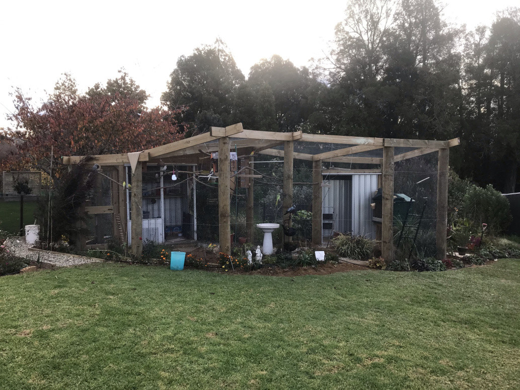 Bird Aviary 2