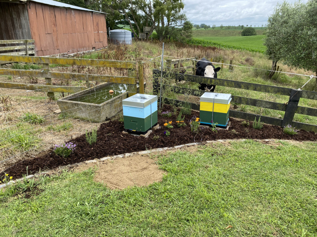 Aesthetic  Bee Garden