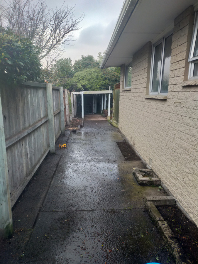 Ivy clean up After