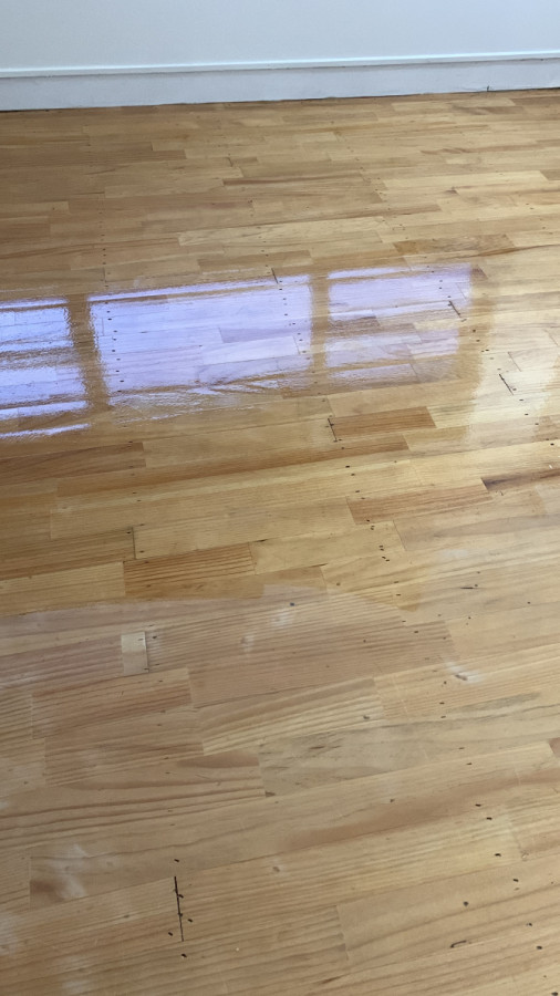 Floor polish