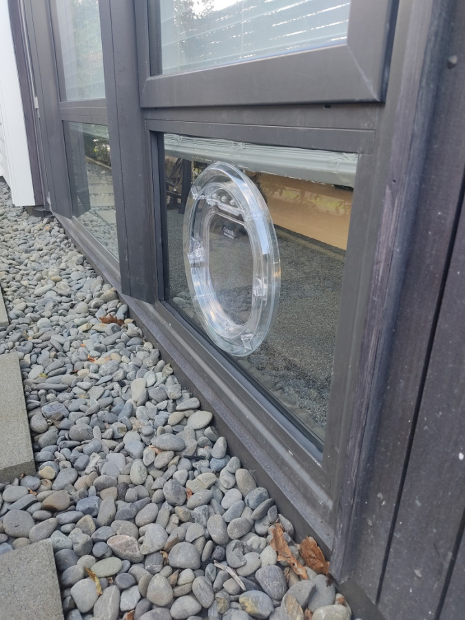 Glass cat door