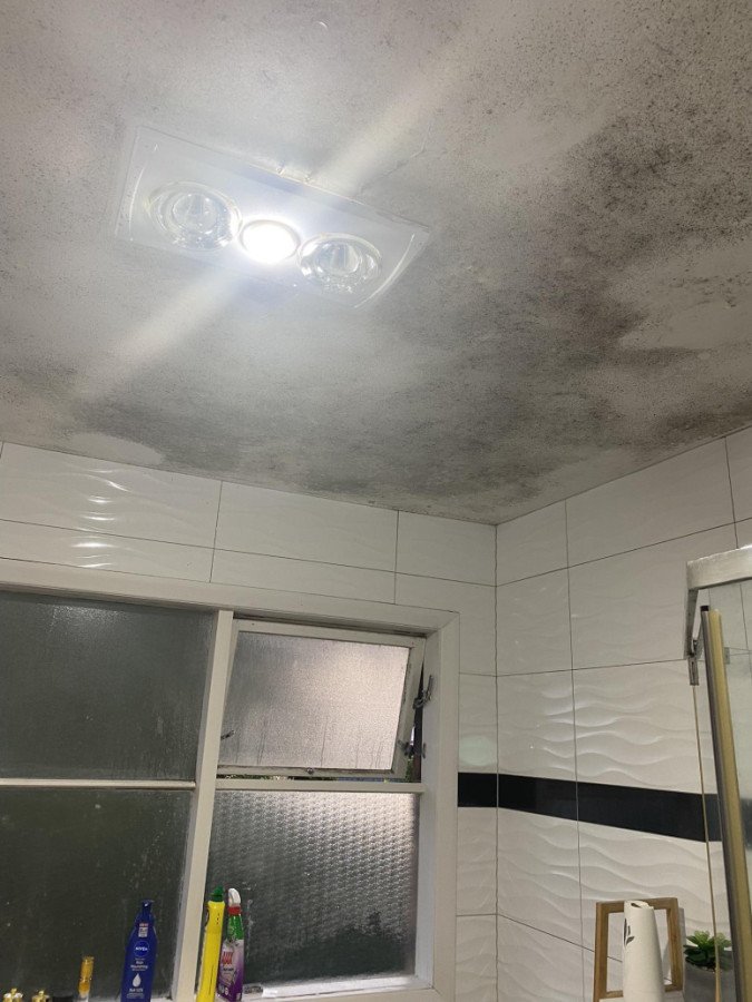 black mould on bathroom ceiling