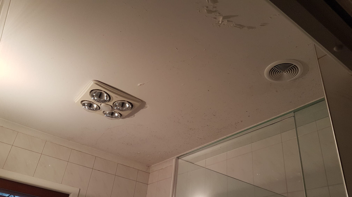 Bathroom Ceiling Before