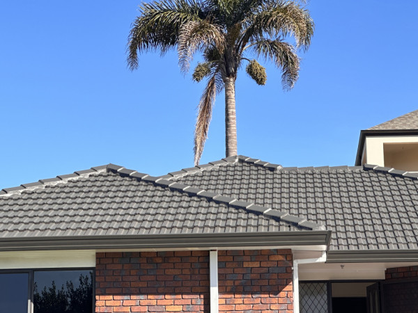 Roof paint