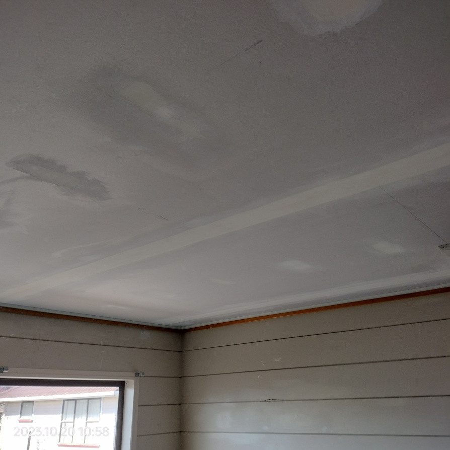 Replaced Ceiling