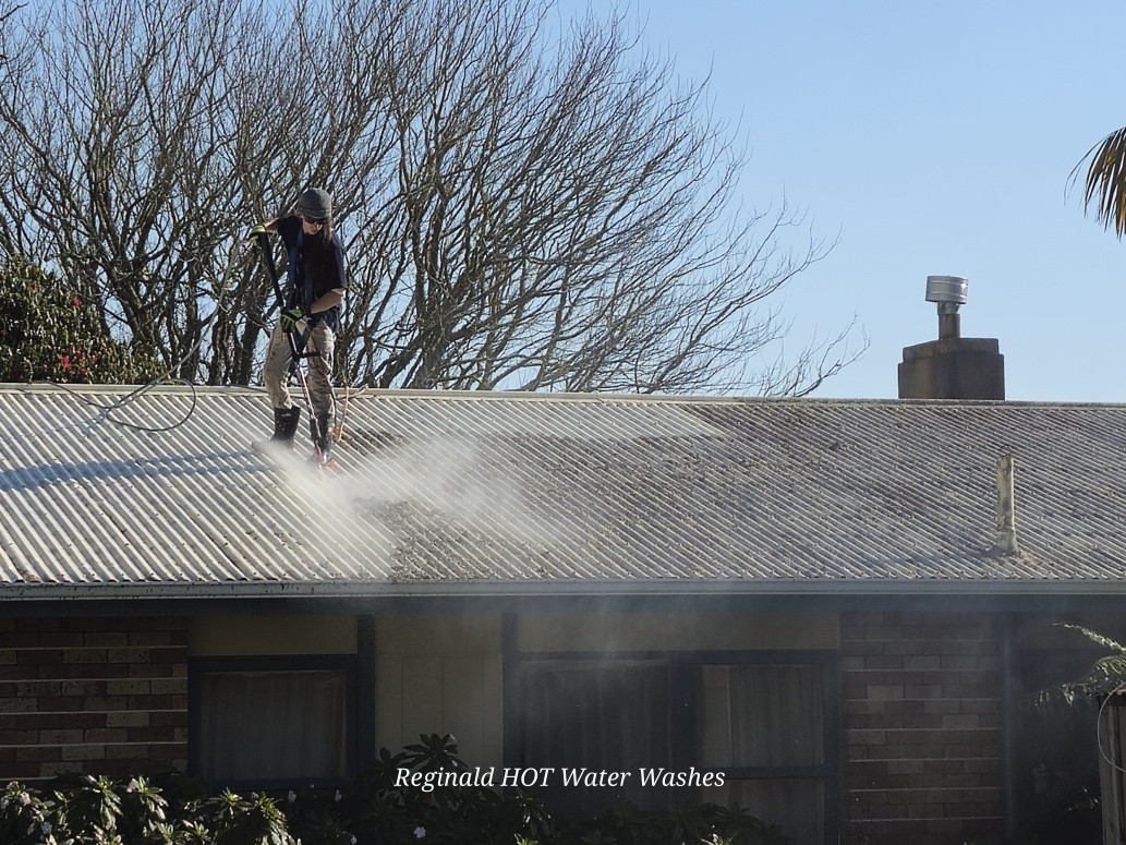 Hot water roof washes