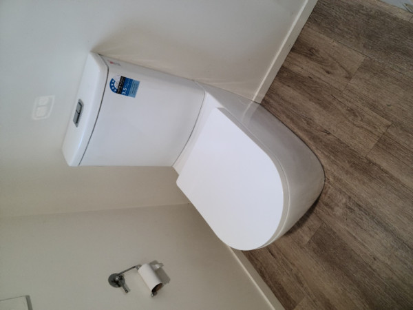 another new toilet