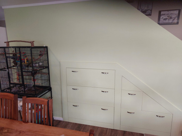 Custom green painted drawers to match wall  and habitat for this amazing pet.