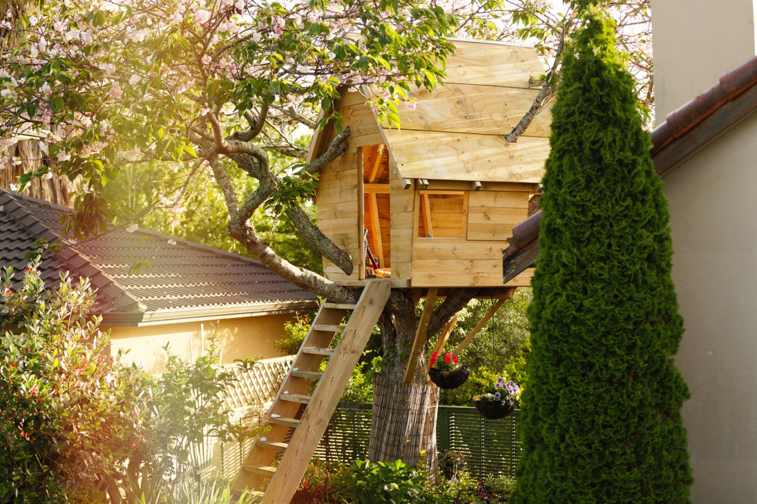 Kids TreeHouse Built on Cherry Tree