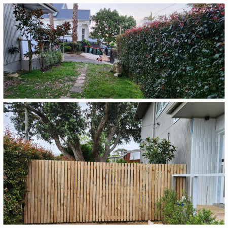 New fence with hidden gate