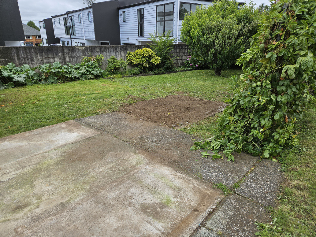 Area cleaned by team and junk removed