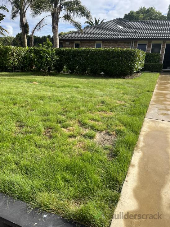 Picture of Large lawn renovation (# 922684) | Builderscrack