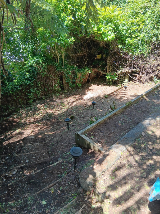 Section after clearing