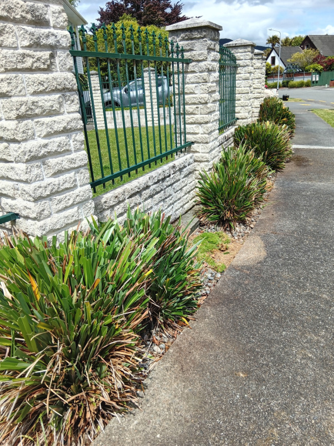 Flax bushes after trimming